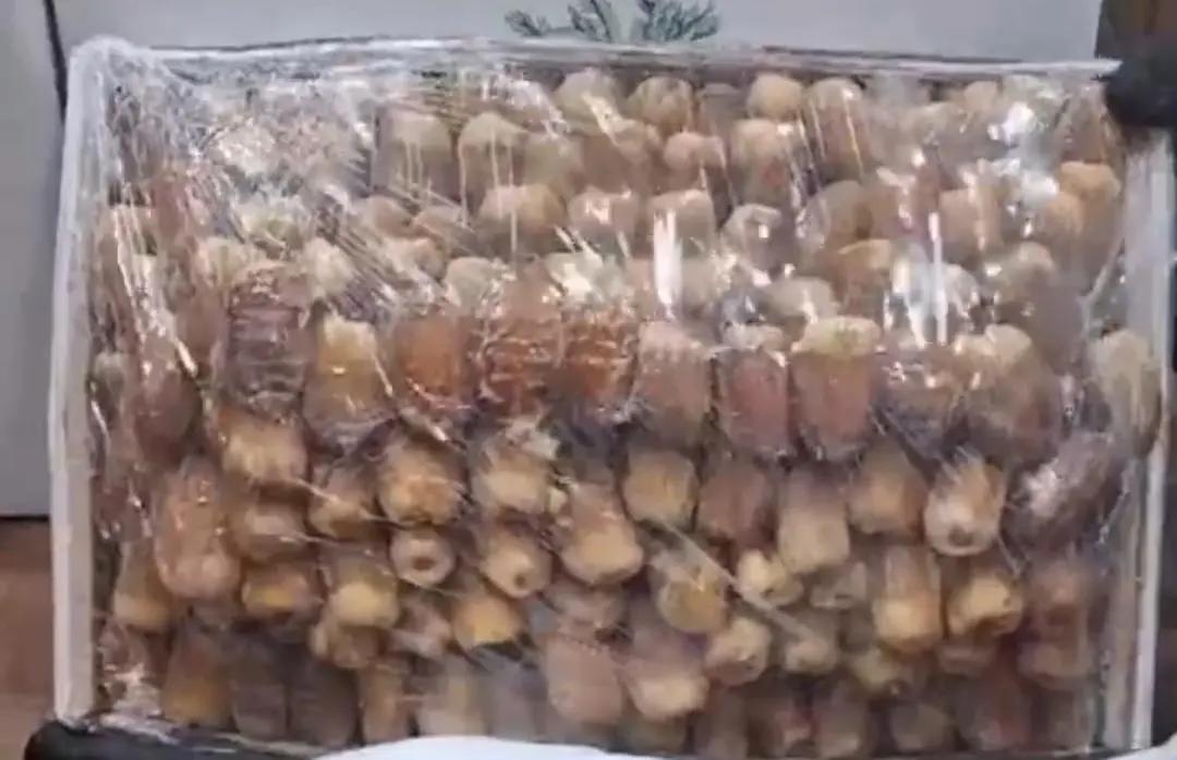 ليش تمر الصقعي المعرّم من أكثر أنواع التمر تميزًا؟